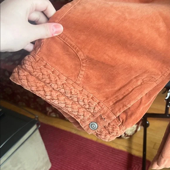 The Hanger Orange Boot Cut Pants - Picture 1 of 1